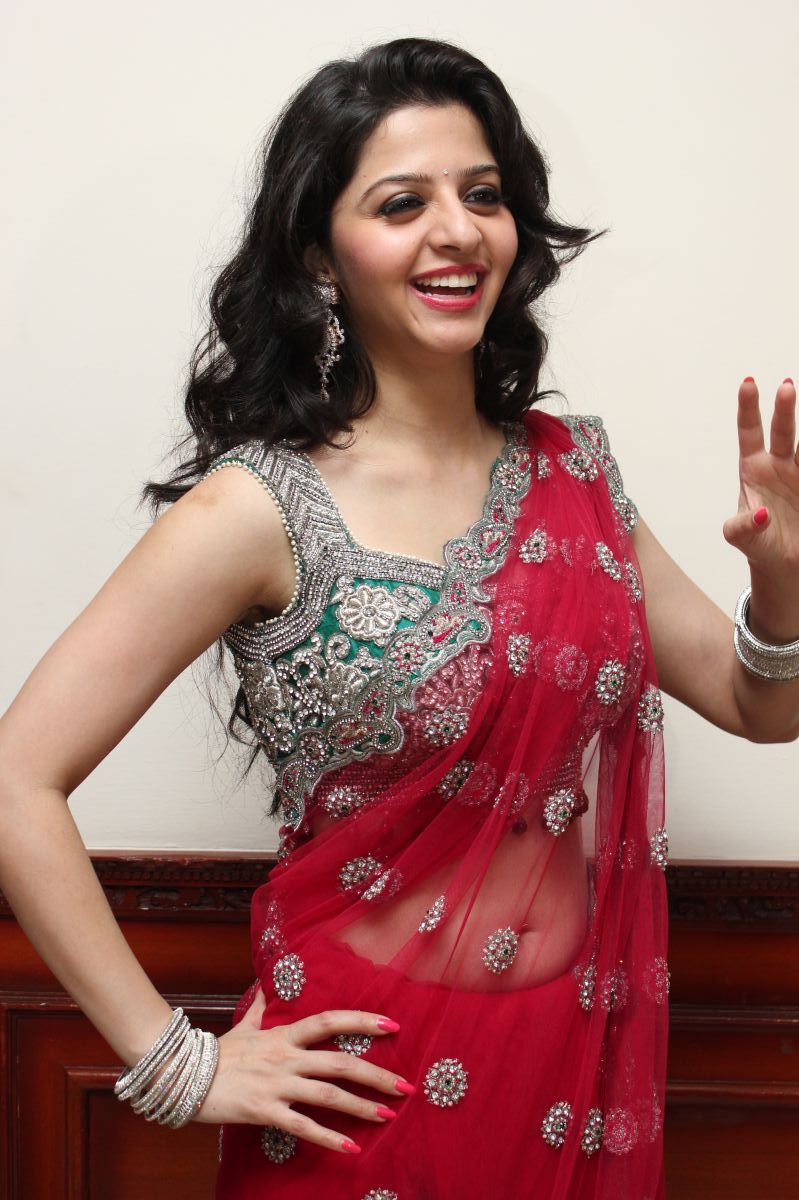 Vedhika Kumar - Paradesi Movie Press Meet Pictures | Picture 325786