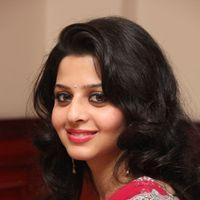 Vedhika Kumar - Paradesi Movie Press Meet Pictures | Picture 325674