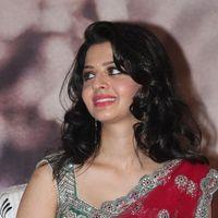 Vedhika Kumar - Paradesi Movie Press Meet Pictures | Picture 325703