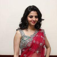 Vedhika Kumar - Paradesi Movie Press Meet Pictures | Picture 325704