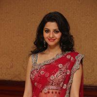Vedhika Kumar - Paradesi Movie Press Meet Pictures | Picture 325709