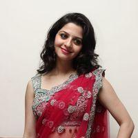 Vedhika Kumar - Paradesi Movie Press Meet Pictures | Picture 325717