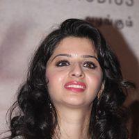 Vedhika Kumar - Paradesi Movie Press Meet Pictures | Picture 325721