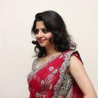 Vedhika Kumar - Paradesi Movie Press Meet Pictures | Picture 325737