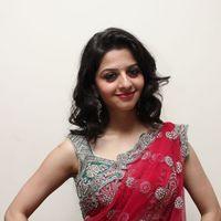 Vedhika Kumar - Paradesi Movie Press Meet Pictures | Picture 325744