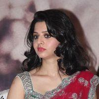 Vedhika Kumar - Paradesi Movie Press Meet Pictures | Picture 325767