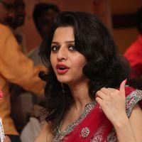 Vedhika Kumar - Paradesi Movie Press Meet Pictures | Picture 325779
