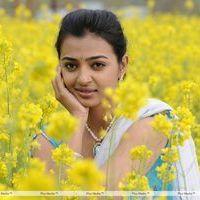 Actress Radhika Apte Latest Cute Photos | Picture 290615