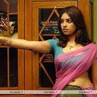 Richa Gangopadhyay Hot in Murattu Singam Movie Stills | Picture 301994
