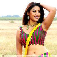 Richa Gangopadhyay Hot in Murattu Singam Movie Stills | Picture 301999