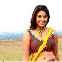 Richa Gangopadhyay Hot in Murattu Singam Movie Stills | Picture 302009