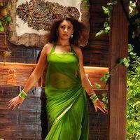 Richa Gangopadhyay Hot in Murattu Singam Movie Stills | Picture 302012