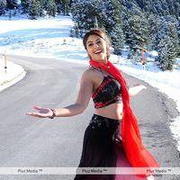 Richa Gangopadhyay Hot in Murattu Singam Movie Stills | Picture 302028