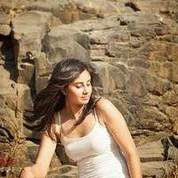 Actress Bhanusri Mehra Latest Photoshoot Stills | Picture 306538