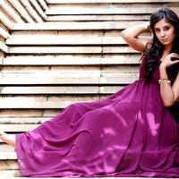 Actress Bhanusri Mehra Latest Photoshoot Stills | Picture 306547