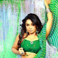 Mannaru Heroine Vaishali Hot Photoshoot Stills | Picture 306578