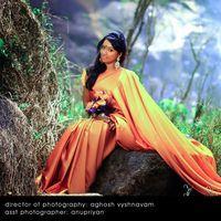 Mannaru Heroine Vaishali Hot Photoshoot Stills | Picture 307924