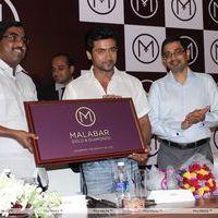 Actor Surya New Grand Ambassador For Malabar Gold Pictures | Picture 266794