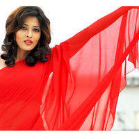 Suma Guha in Saree Hot Photoshoot | Picture 283973