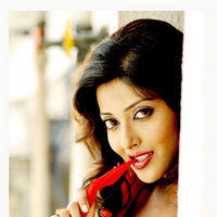 Suma Guha in Saree Hot Photoshoot | Picture 283974