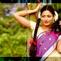 Suma Guha in Saree Hot Photoshoot | Picture 283983