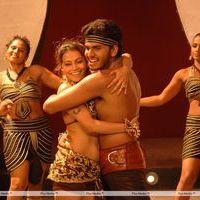 Ajantha Movie Hot Stills | Picture 286518