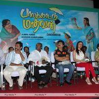 Palakkattu Madhavan Movie Audio Launch Pictures | Picture 286184