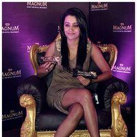 Trisha Krishnan - Actress Trisha at Magnum Ice Cream Launch Photos | Picture 422848