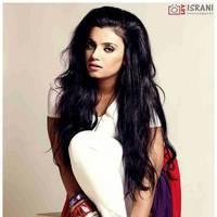 Actress Namrata Dixit Hot Photo Shoot Gallery | Picture 433139