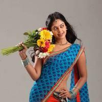 Bindu Madhavi - Desingu Raja Movie Stills
