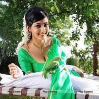 Neelam Upadhyay - Unnodu Oru Naal Movie Hot Stills | Picture 535727