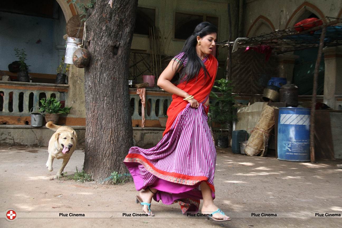 Anjali (Actress) - Madha Gaja Raja New Hot Stills | Picture 554445