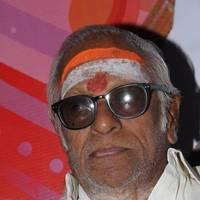 M. S. Viswanathan - Suvadugal Movie Audio Launch Function Photos | Picture 553620