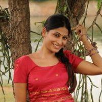Vijayalakshmi - Vanayutham Movie Stills | Picture 376439
