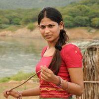 Vijayalakshmi - Vanayutham Movie Stills | Picture 376445
