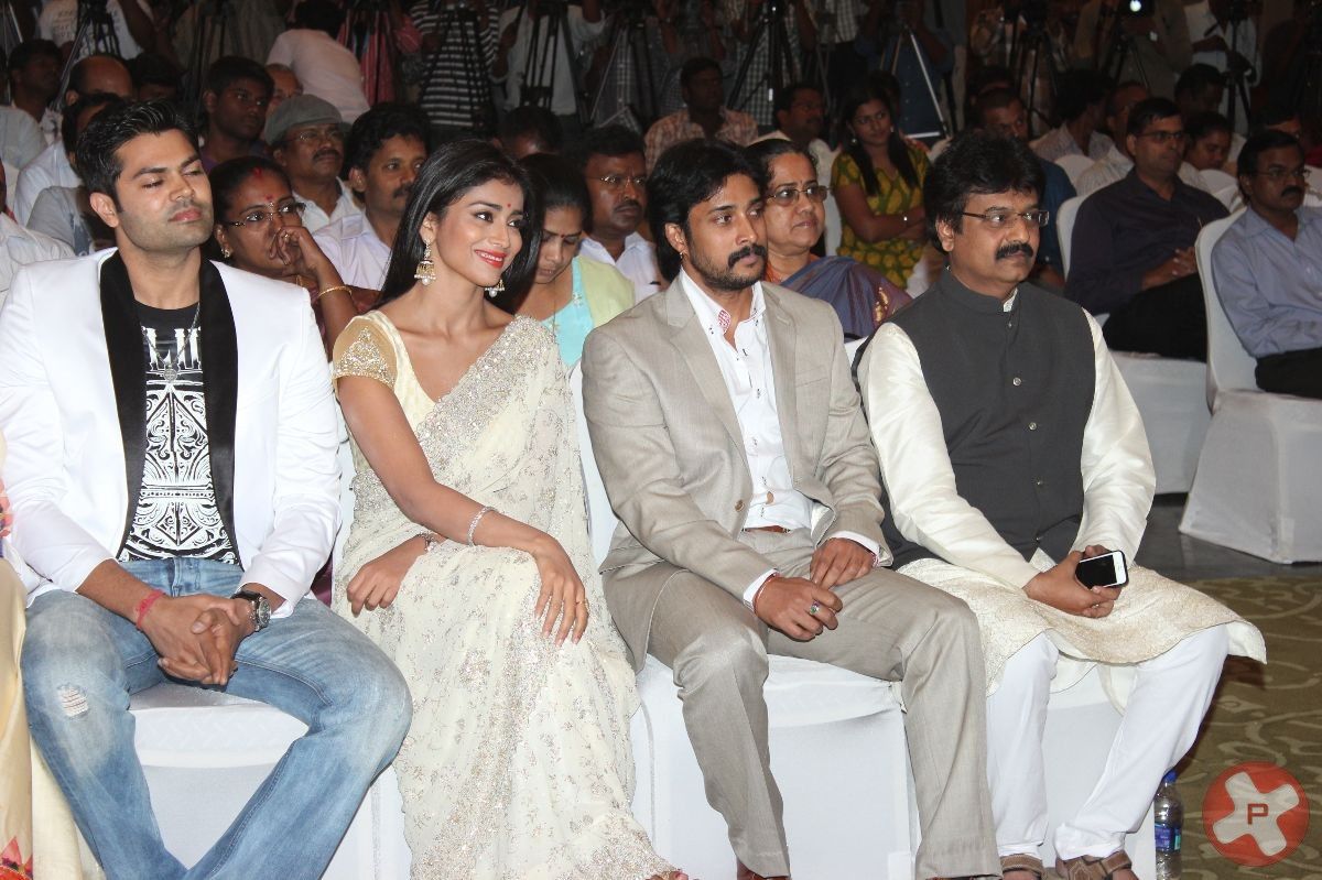 Chandra Audio Launch Pictures | Picture 395993