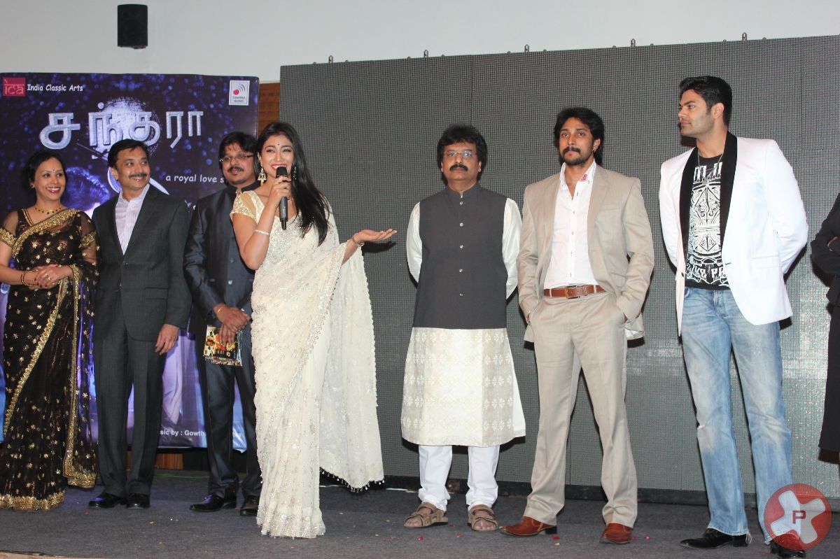 Chandra Audio Launch Pictures | Picture 396004
