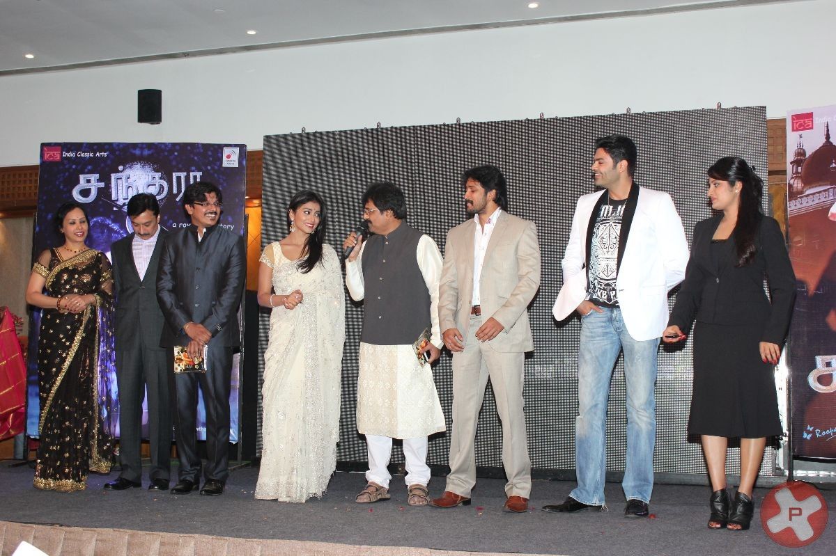 Chandra Audio Launch Pictures | Picture 396013