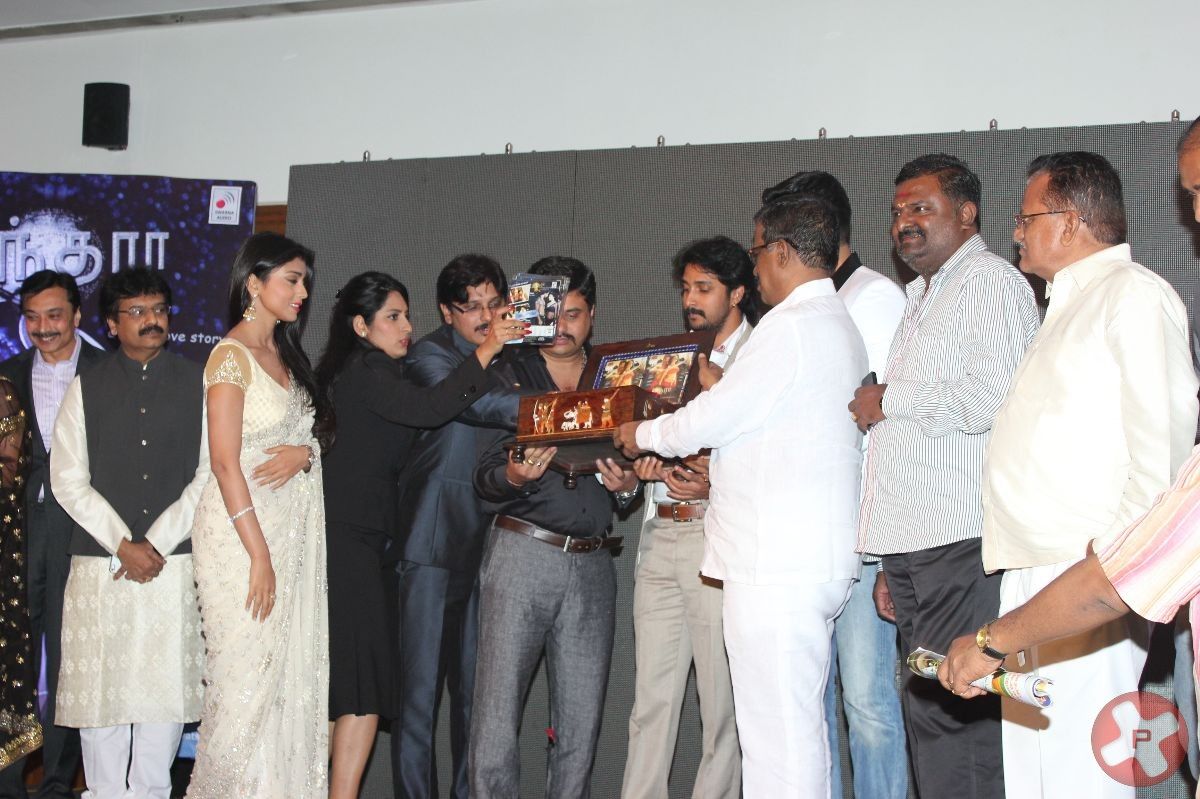 Chandra Audio Launch Pictures | Picture 396024