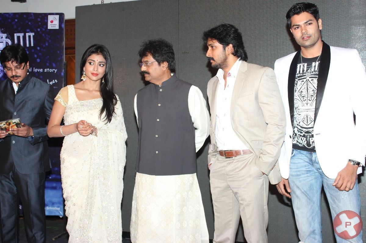 Chandra Audio Launch Pictures | Picture 396029