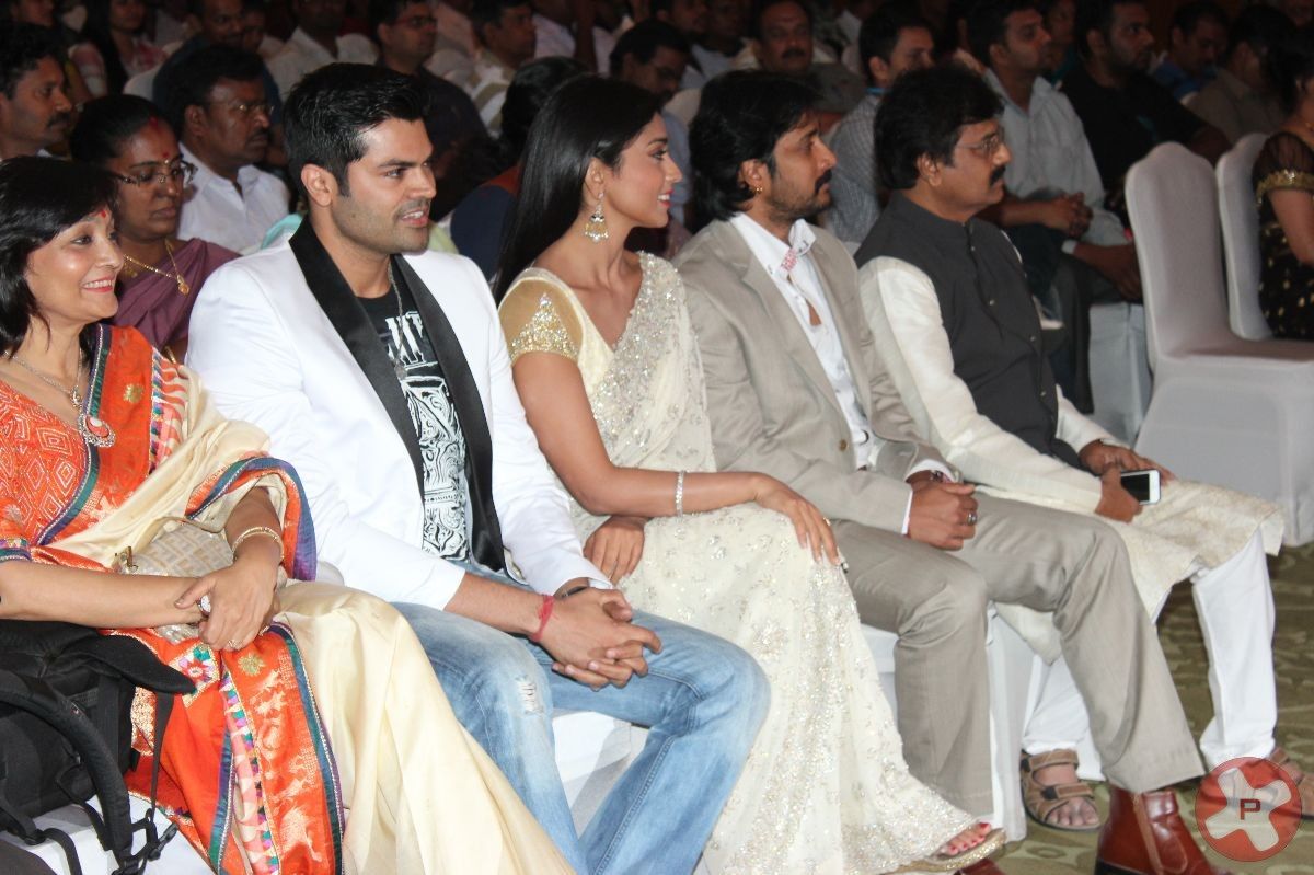 Chandra Audio Launch Pictures | Picture 396065