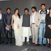 Chandra Audio Launch Pictures | Picture 395996