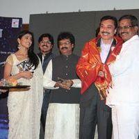 Chandra Audio Launch Pictures | Picture 395999