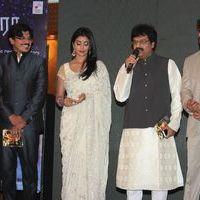 Chandra Audio Launch Pictures | Picture 396012