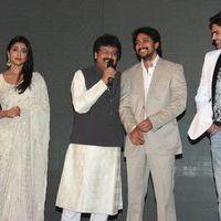 Chandra Audio Launch Pictures | Picture 396014