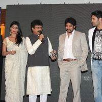 Chandra Audio Launch Pictures | Picture 396022