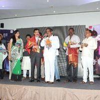 Chandra Audio Launch Pictures | Picture 396023
