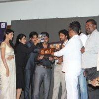 Chandra Audio Launch Pictures | Picture 396024