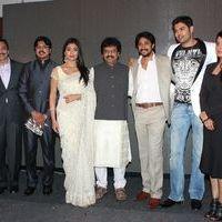 Chandra Audio Launch Pictures | Picture 396030