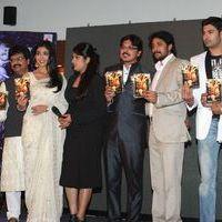 Chandra Audio Launch Pictures | Picture 396064